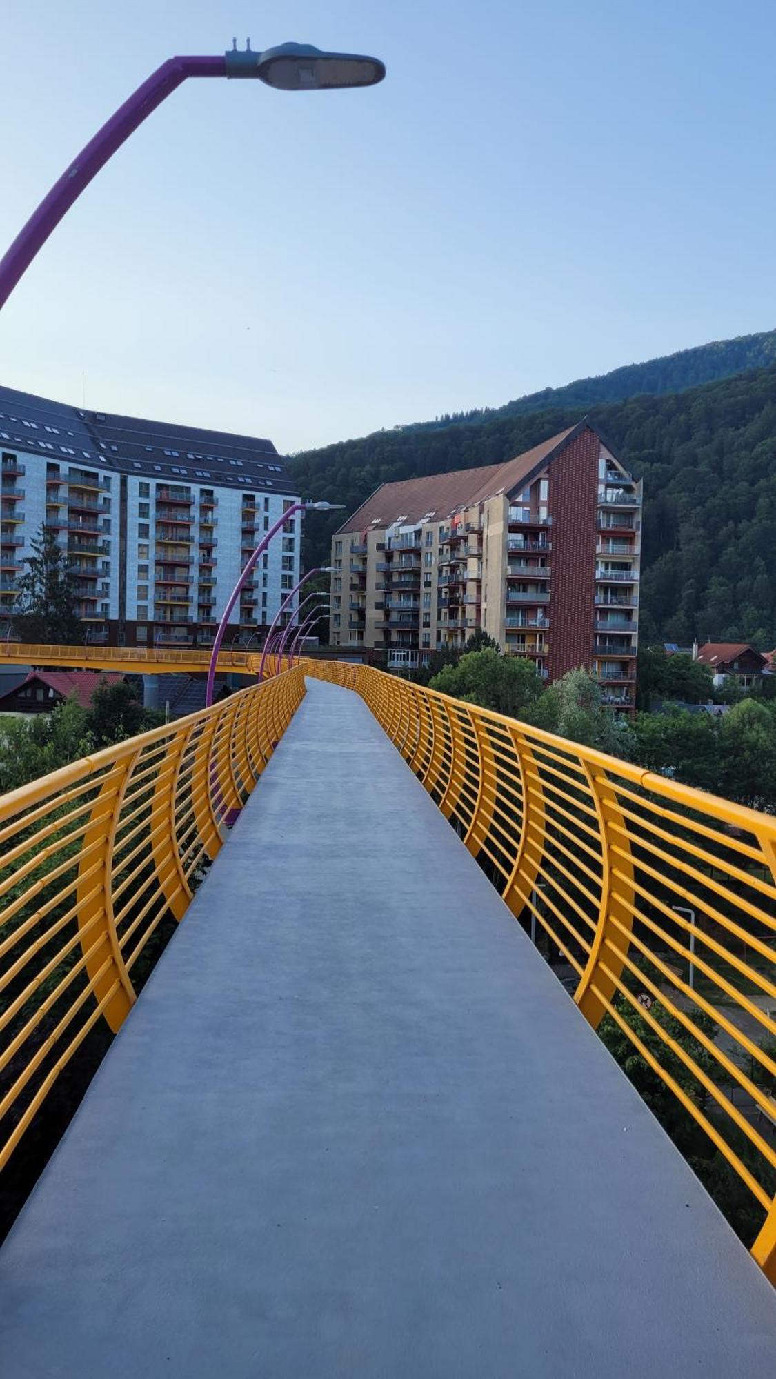 Belleview Family Apartment Синая Екстериор снимка